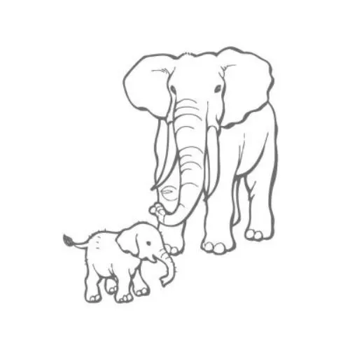 Olifant afbeelding